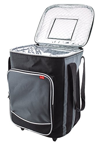 jata-hogar-nevera-trolley-porta-alimentos-flexible-23-l-interior-de-aluminio-ais image 8
