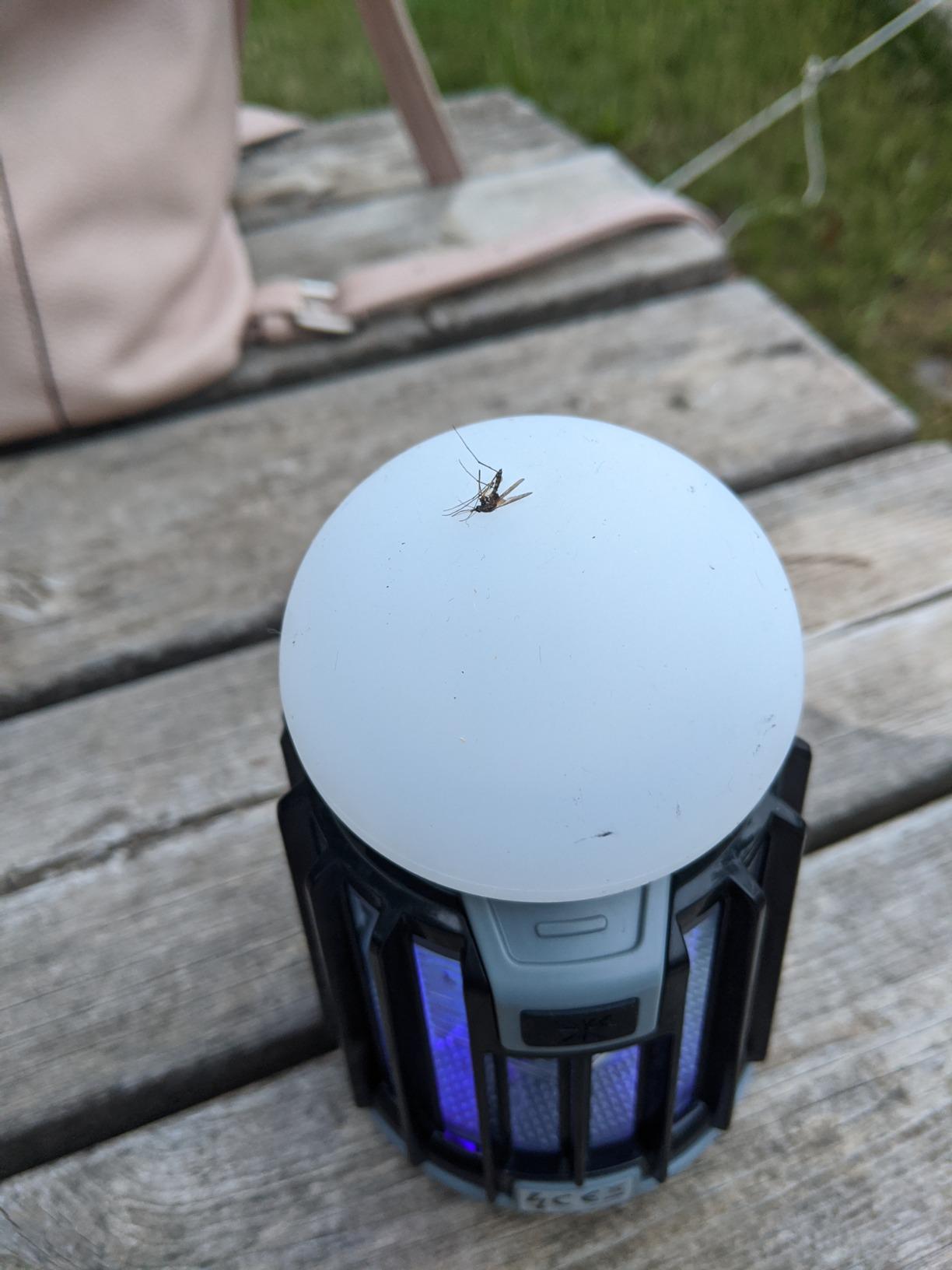 Silencioso y eficaz
