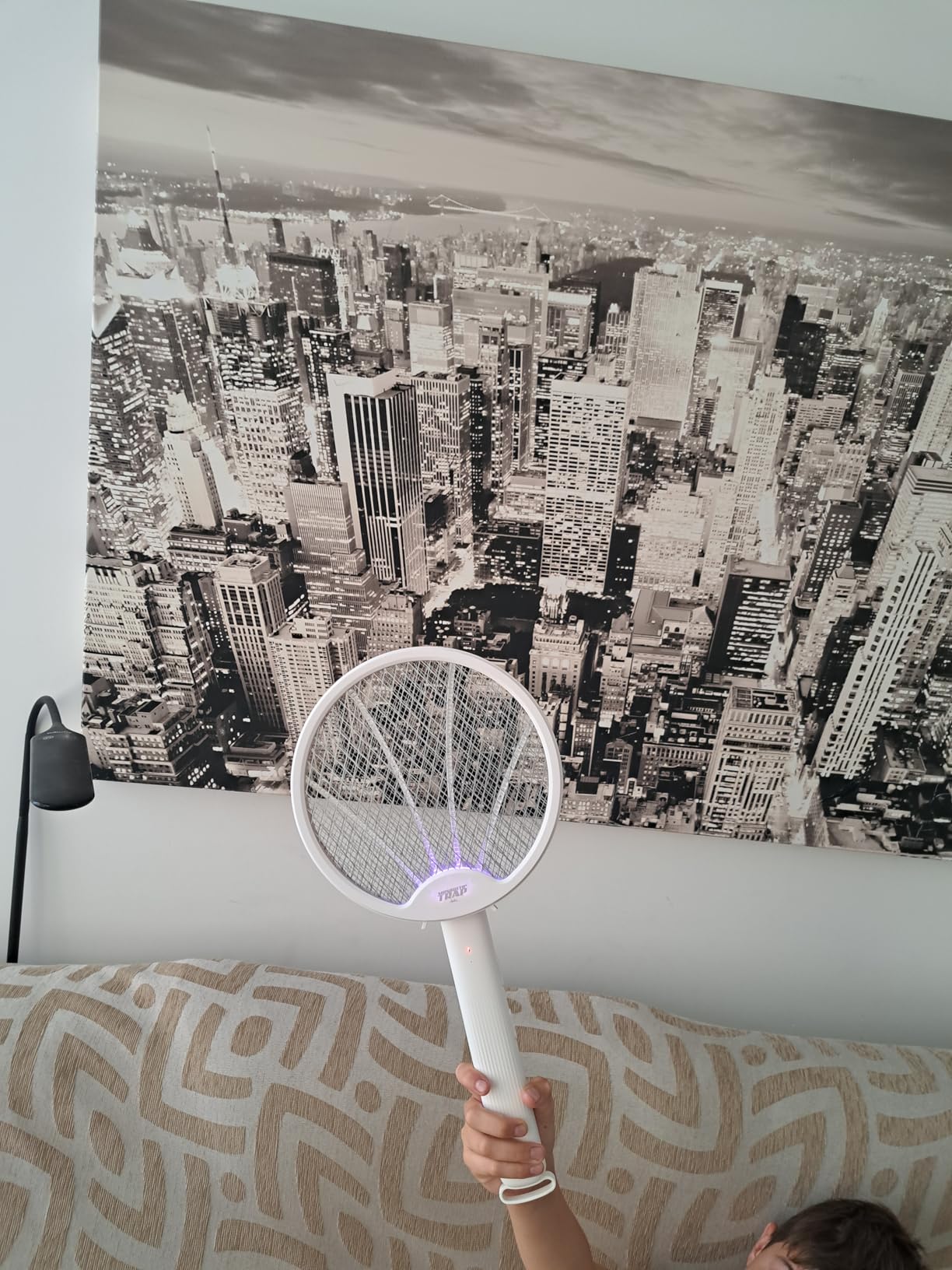Se acabaron los mosquitos en casa